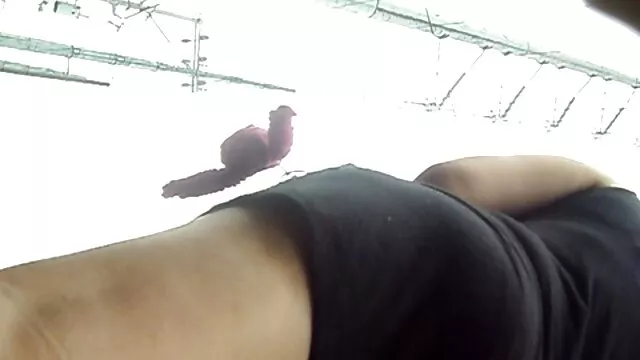 Porno pas d'inscription  Après anal film érotique complet gratuit se, deux heureux jeunes poussins sont nettoyés